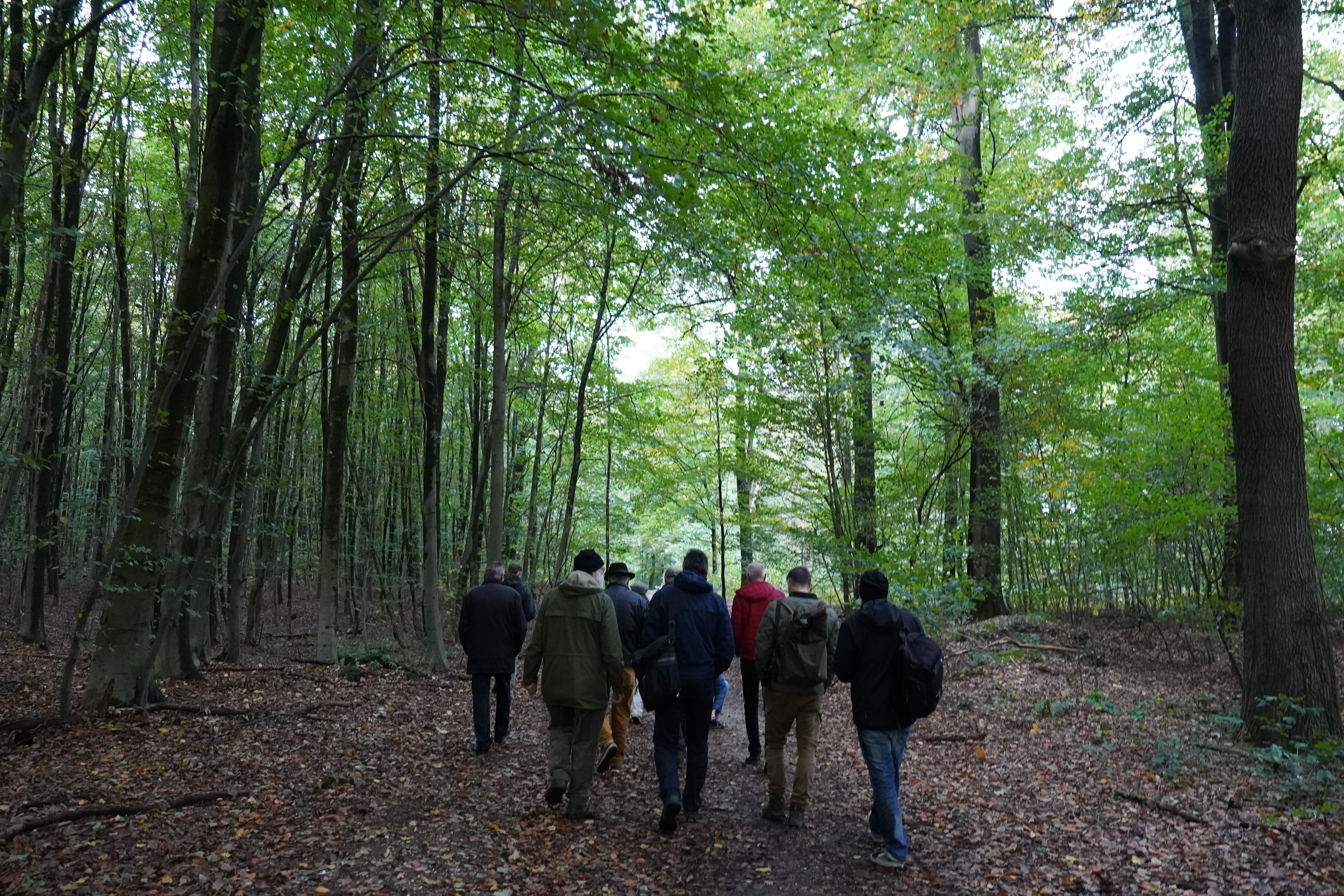 Eine Gruppe Menschen geht im Wald spazieren