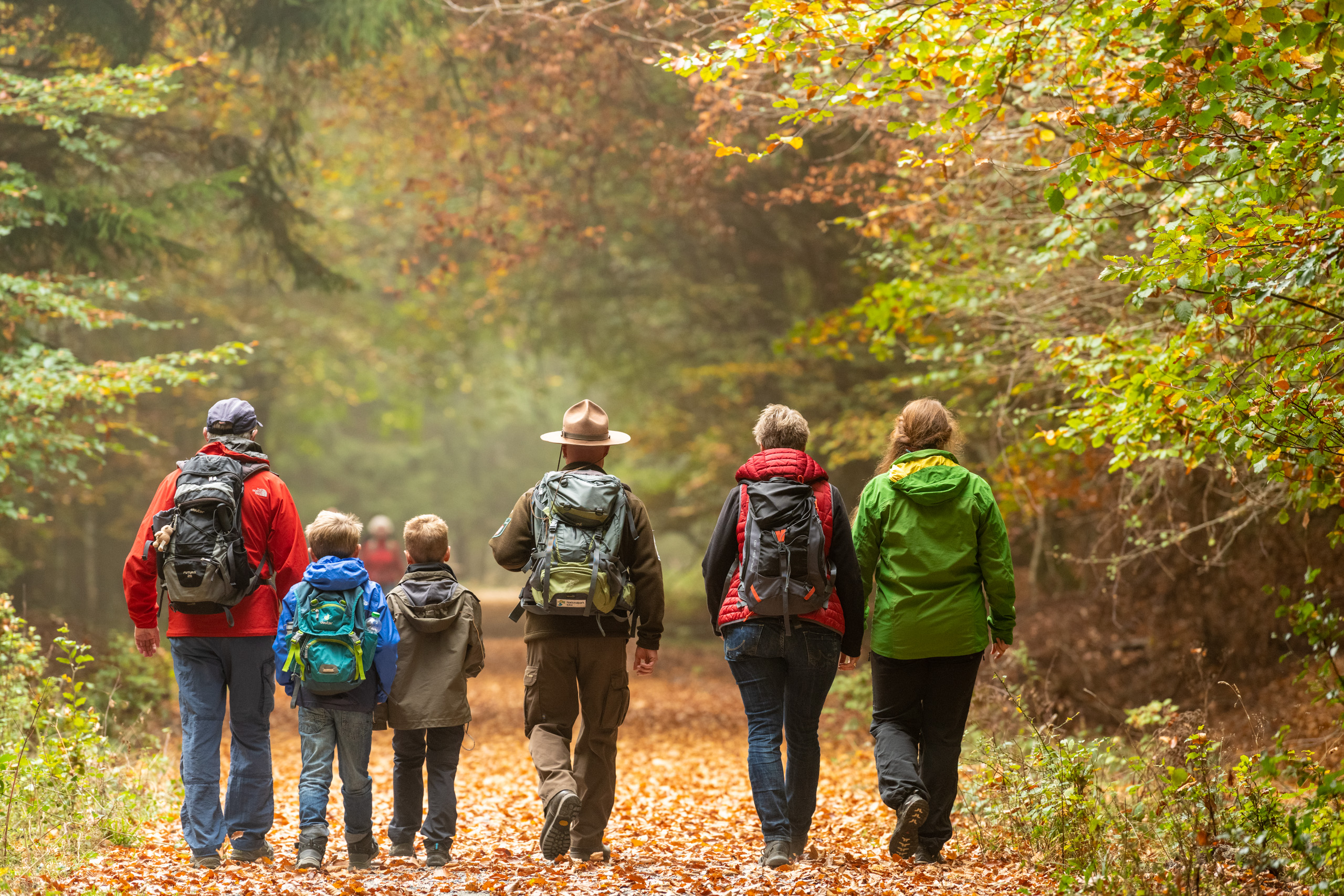 Wanderer im Wald von hinten