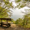 Bank im Nationalpark Eifel