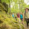 Wandergruppe im Nationalpark Eifel