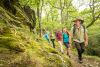 Wandergruppe im Nationalpark Eifel